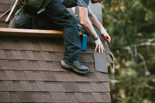 Professional Roofing Contractor in Apple Valley, MN